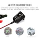 Green Cell - Ładowarka, prostownik do Akumulatorów 6V / 12V (1A)